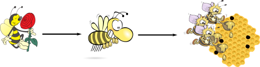 Producción de miel por las abejas